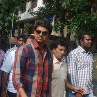 Vijay - Kollywood Celebrities Cast Their Votes - Pictures | Picture 104412